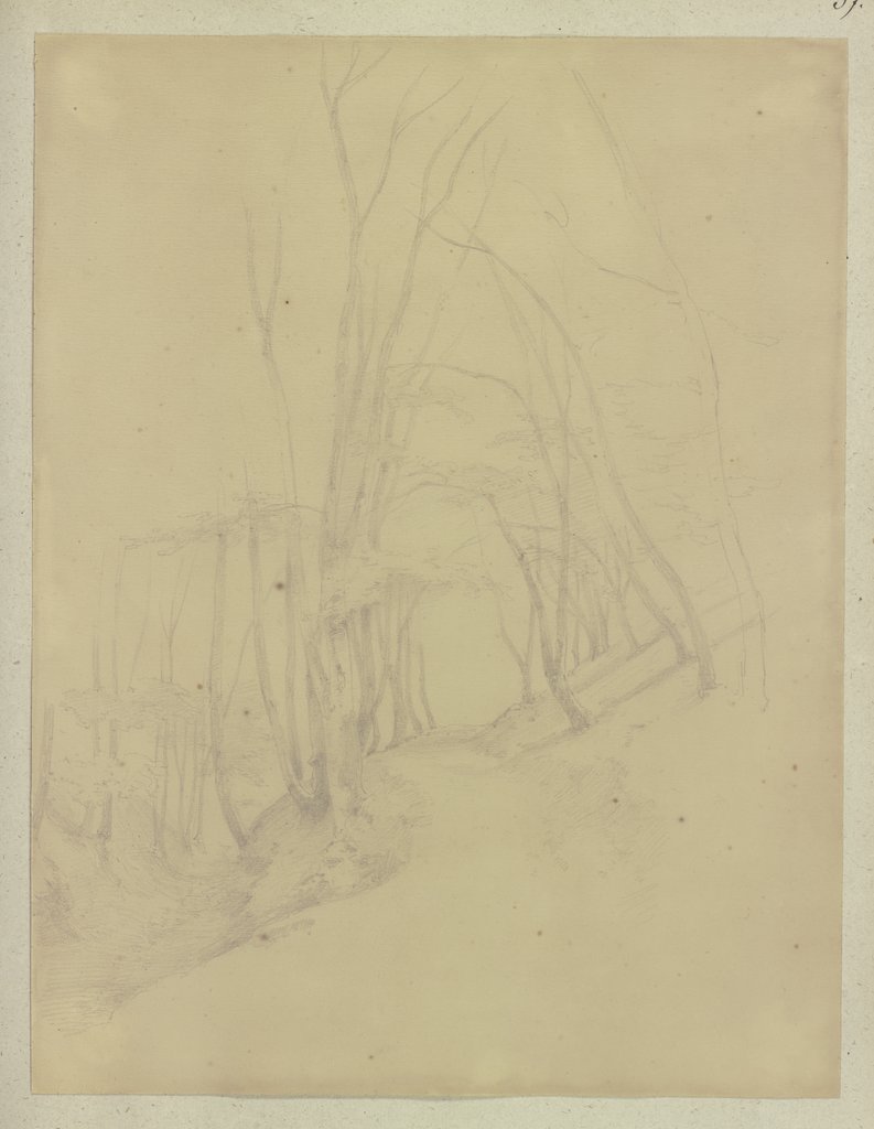 Forest path, Carl Theodor Reiffenstein