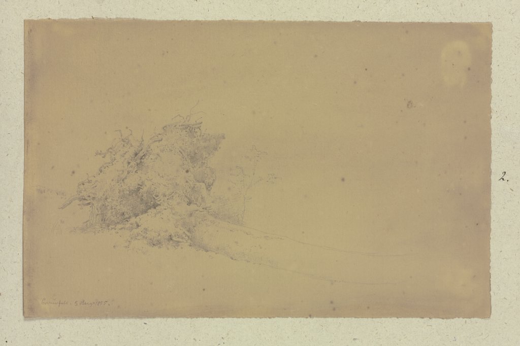 Wurzelwerk eines umgestürzten Baumes bei Braunfels, Carl Theodor Reiffenstein