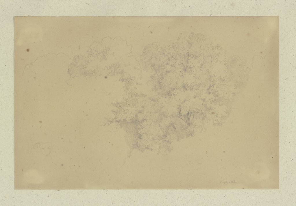 Treetops, Carl Theodor Reiffenstein