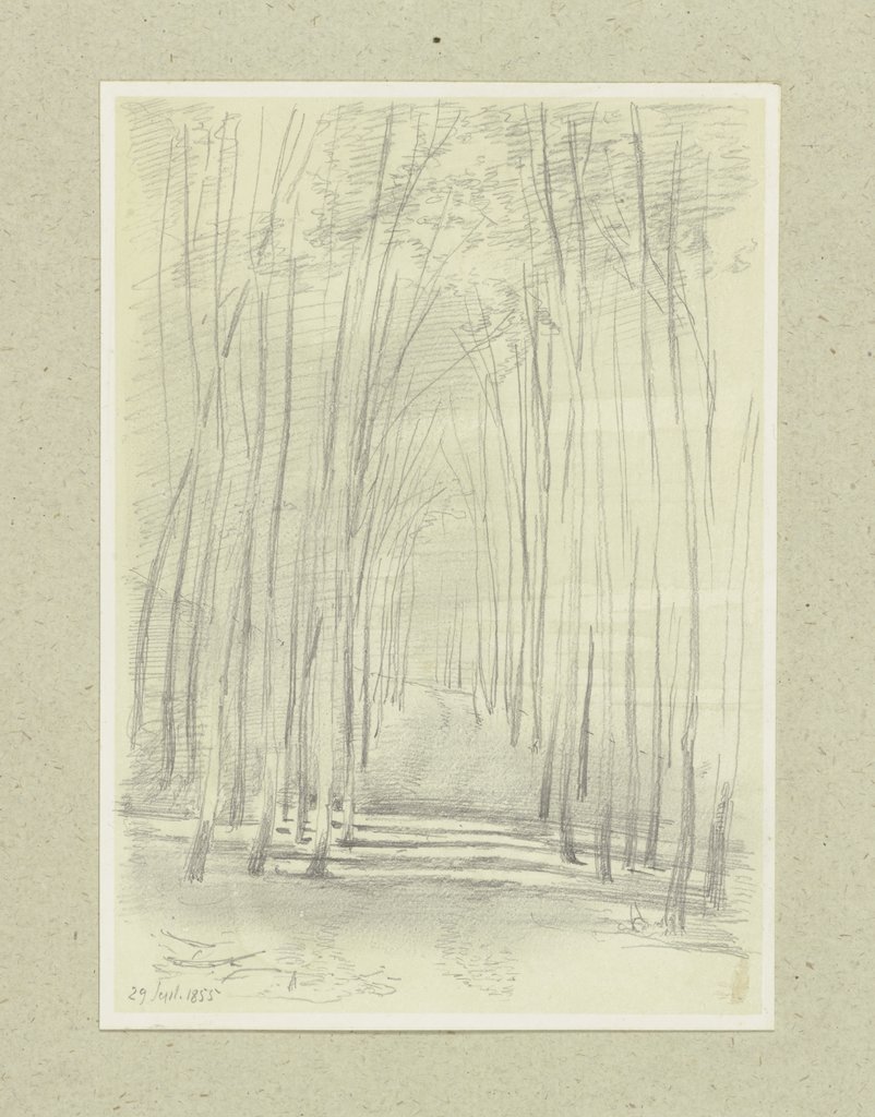 Waldweg, Carl Theodor Reiffenstein