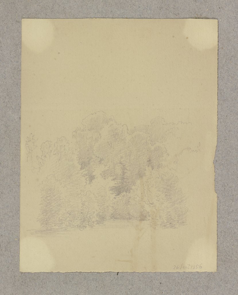 Waldstück, Carl Theodor Reiffenstein