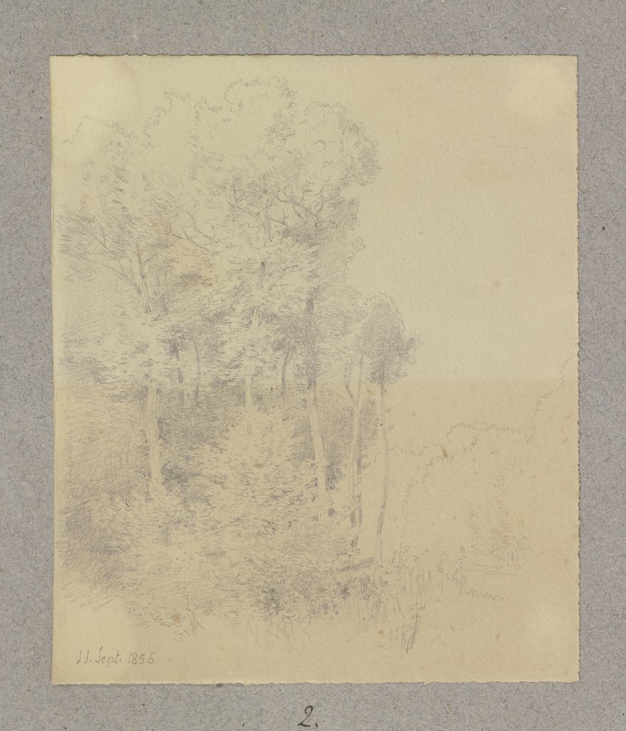 Waldstück, Carl Theodor Reiffenstein