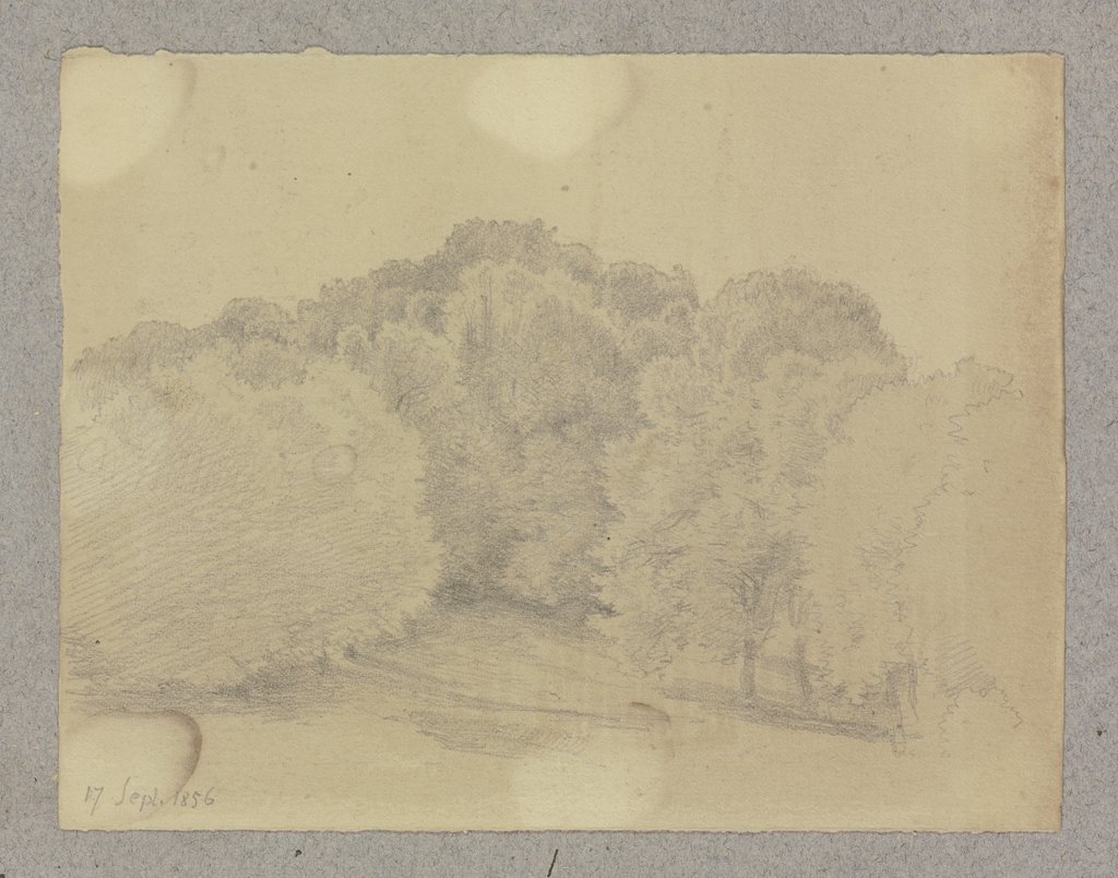 Waldrand, Carl Theodor Reiffenstein