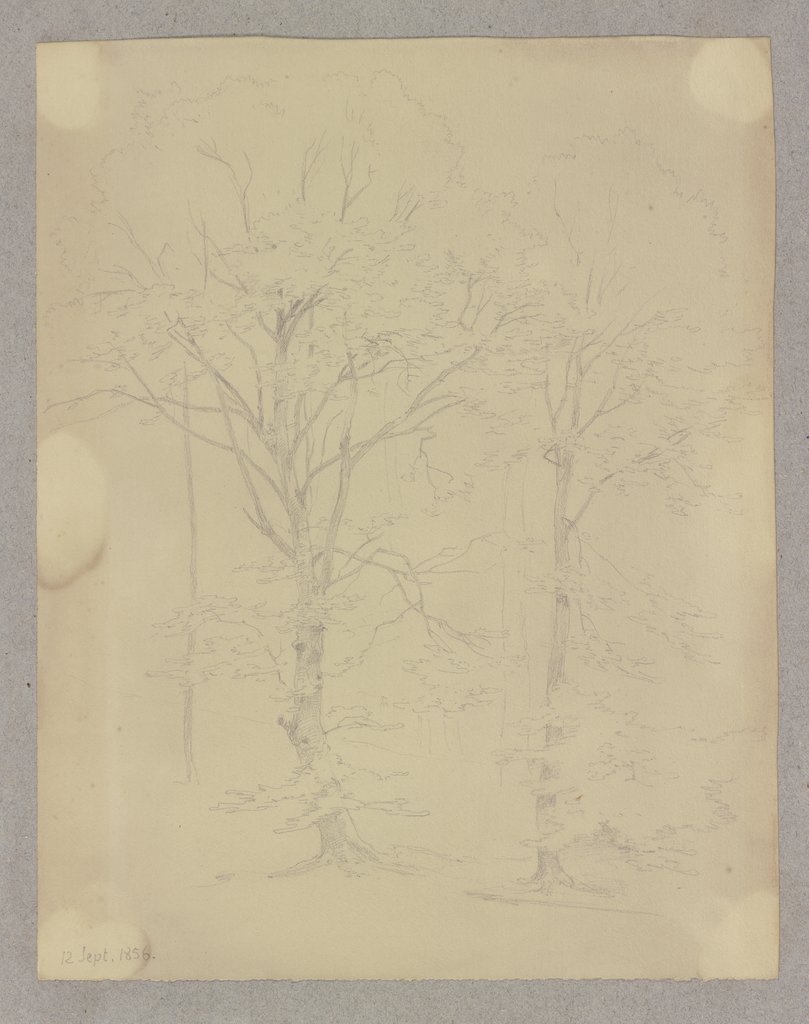 Two trees, Carl Theodor Reiffenstein