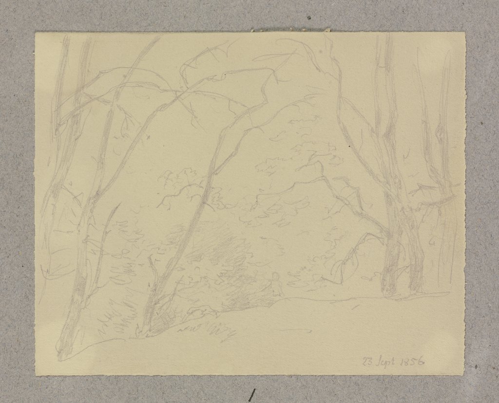 Waldlichtung, Carl Theodor Reiffenstein