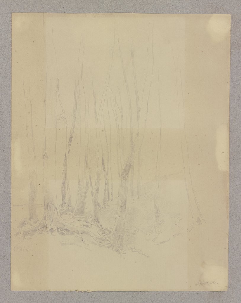 Waldpartie, Carl Theodor Reiffenstein