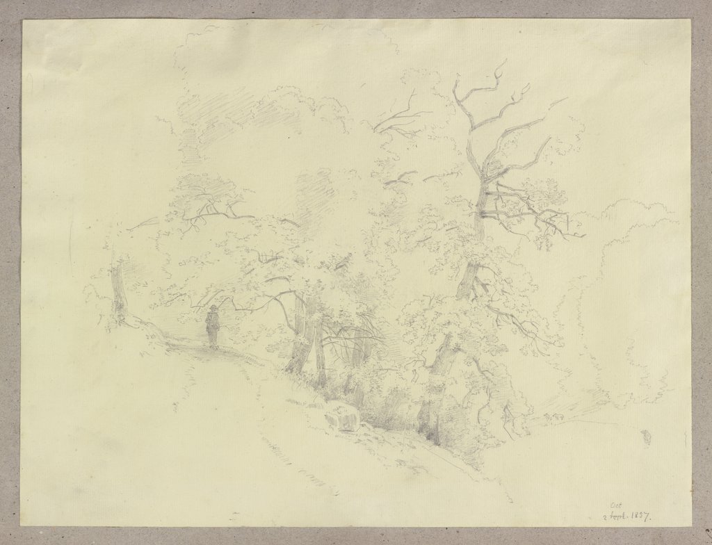 Forest path, Carl Theodor Reiffenstein