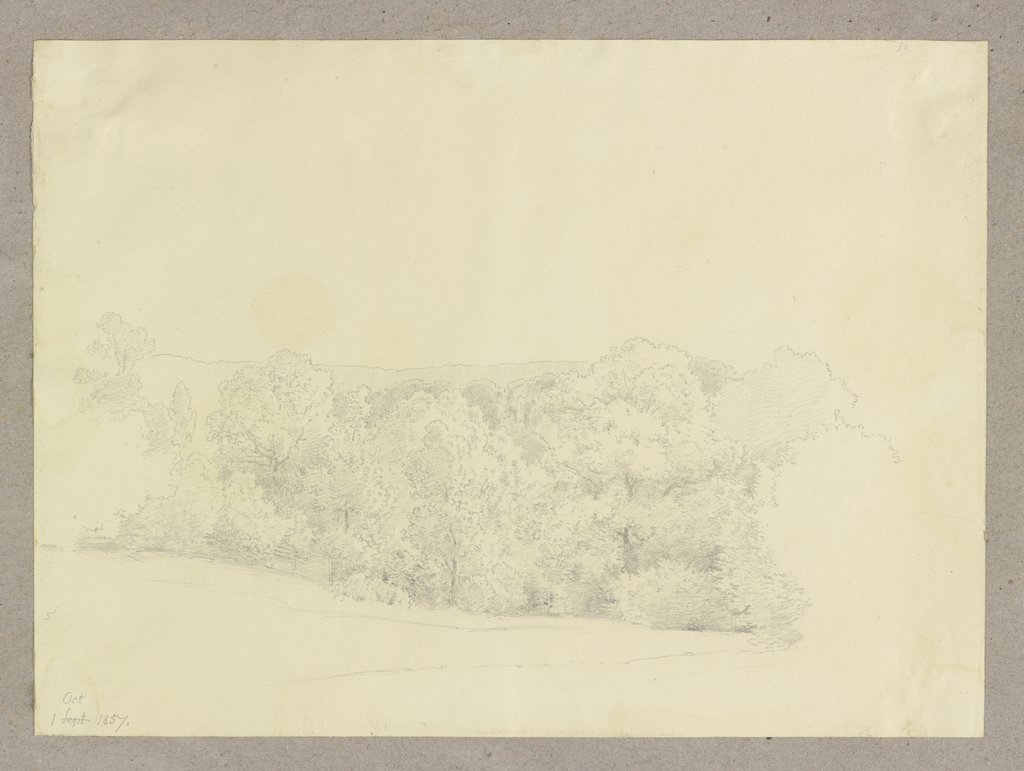 Waldrand, Carl Theodor Reiffenstein