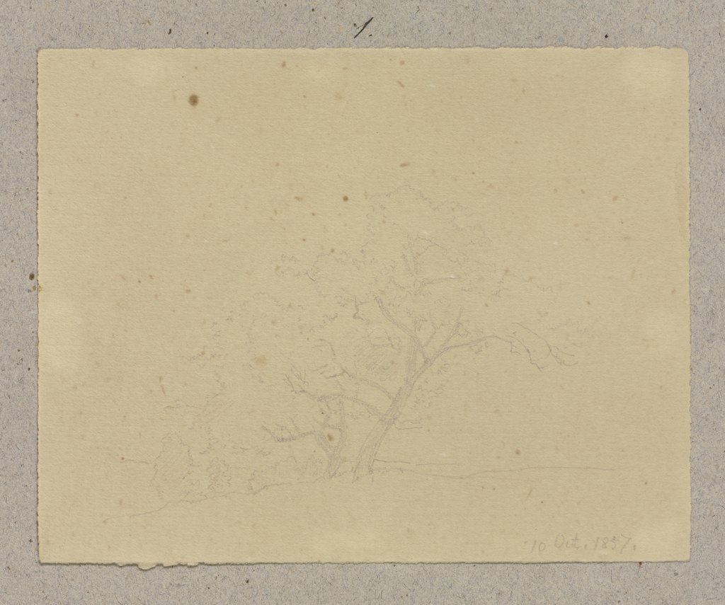 Group of trees, Carl Theodor Reiffenstein