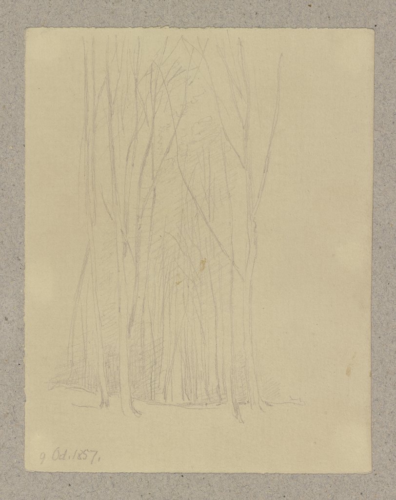 Waldpartie, Carl Theodor Reiffenstein