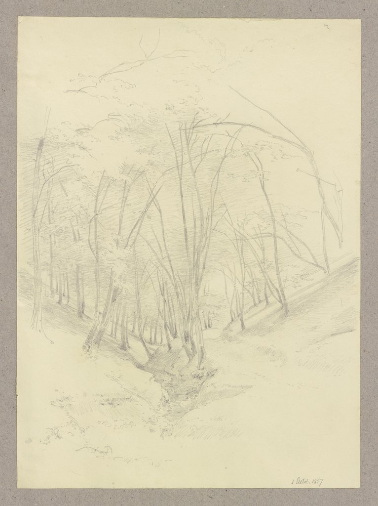 Waldpartie in einer Talsohle, Carl Theodor Reiffenstein