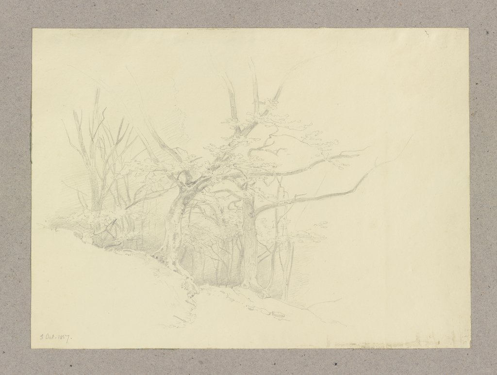 Waldweg, Carl Theodor Reiffenstein