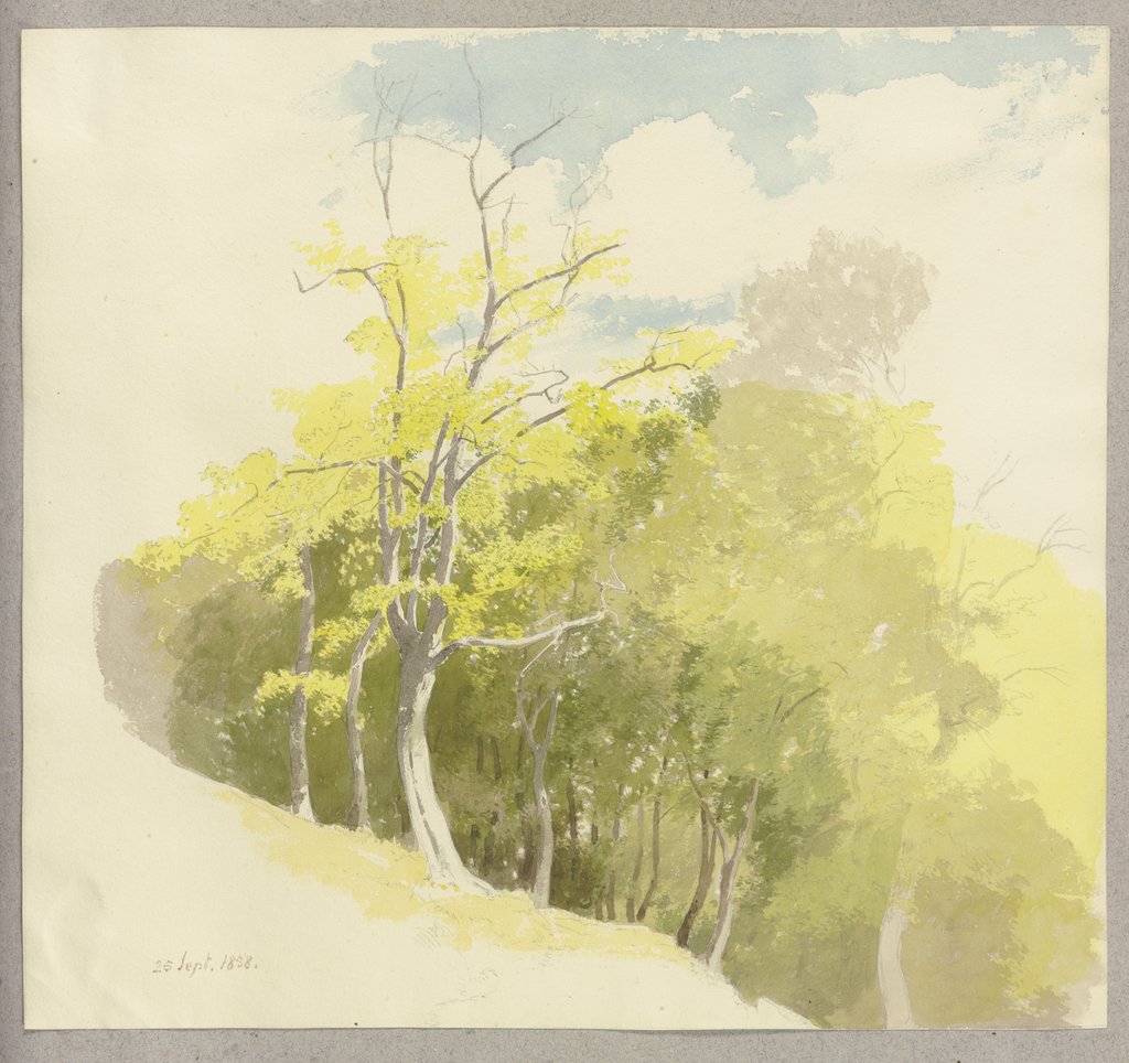 Waldstück am Hang, Carl Theodor Reiffenstein