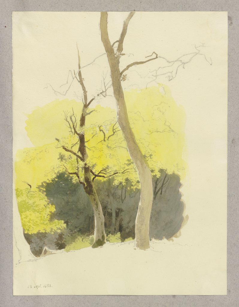 Baumpaar, im Hintergrund ein dichter Wald, Carl Theodor Reiffenstein