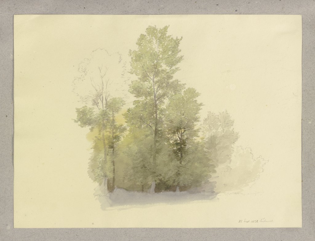 Waldstück, Carl Theodor Reiffenstein