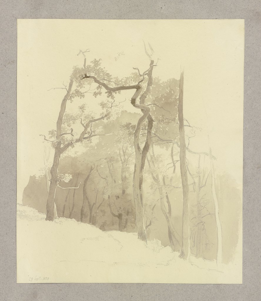 Waldpartie, Carl Theodor Reiffenstein