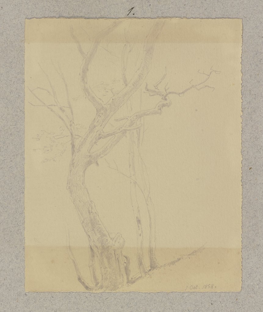 Leafless tree, Carl Theodor Reiffenstein