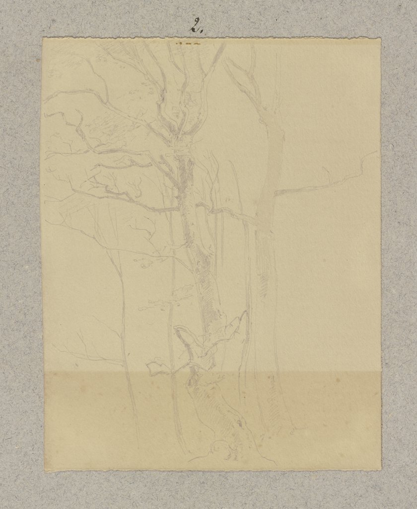 Group of leafless trees, Carl Theodor Reiffenstein
