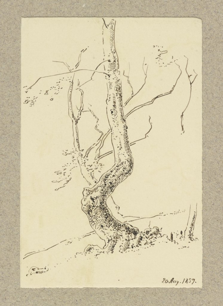 Crookedly grown tree, Carl Theodor Reiffenstein