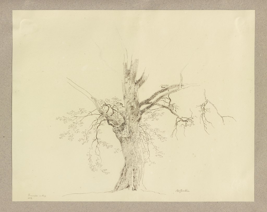 Alter Baum bei Braunfels, Carl Theodor Reiffenstein