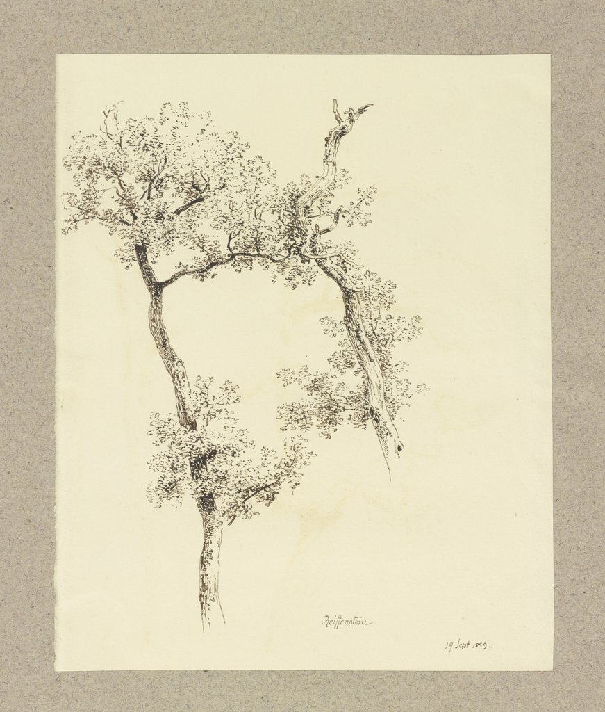 Zwei Bäume, Carl Theodor Reiffenstein