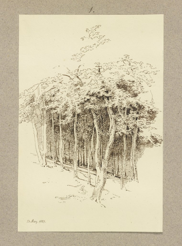 Waldpartie, Carl Theodor Reiffenstein