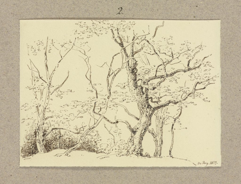Baumgruppe, Carl Theodor Reiffenstein