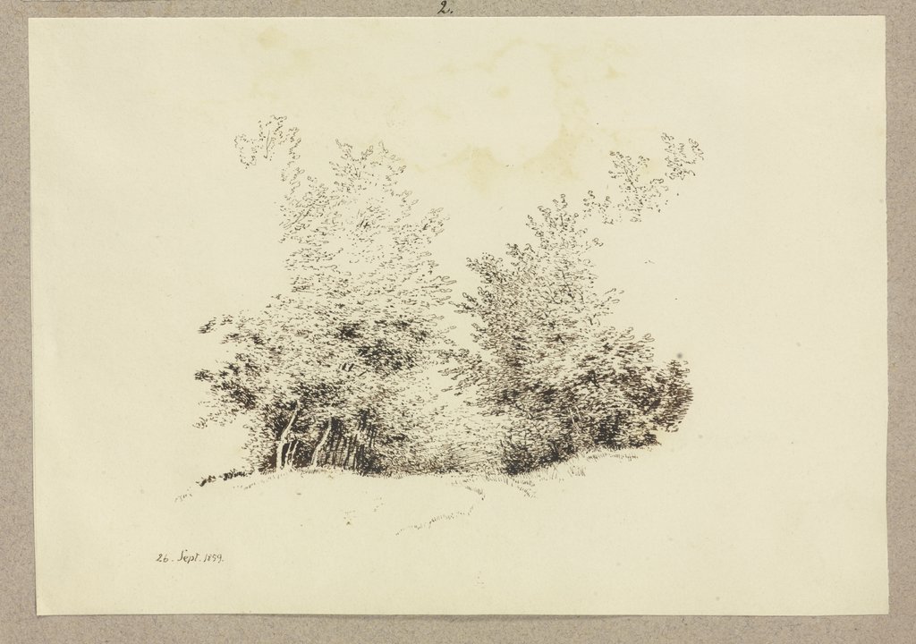 Waldrand, Carl Theodor Reiffenstein