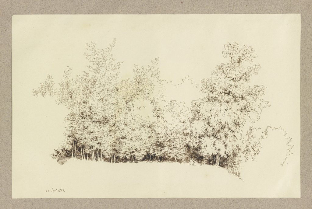 Edge of a wood, Carl Theodor Reiffenstein