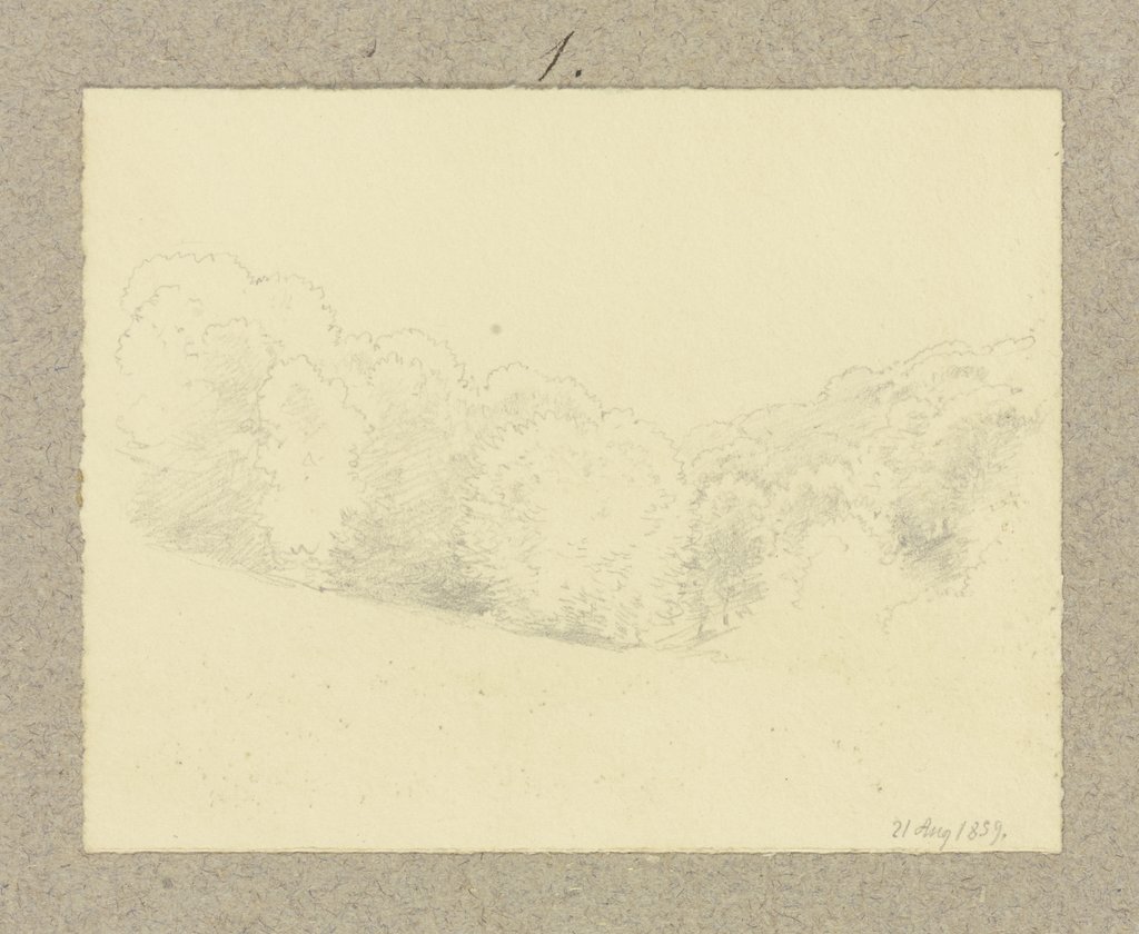 Waldlandschaft, Carl Theodor Reiffenstein