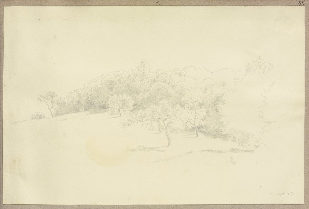 Waldrand, Carl Theodor Reiffenstein