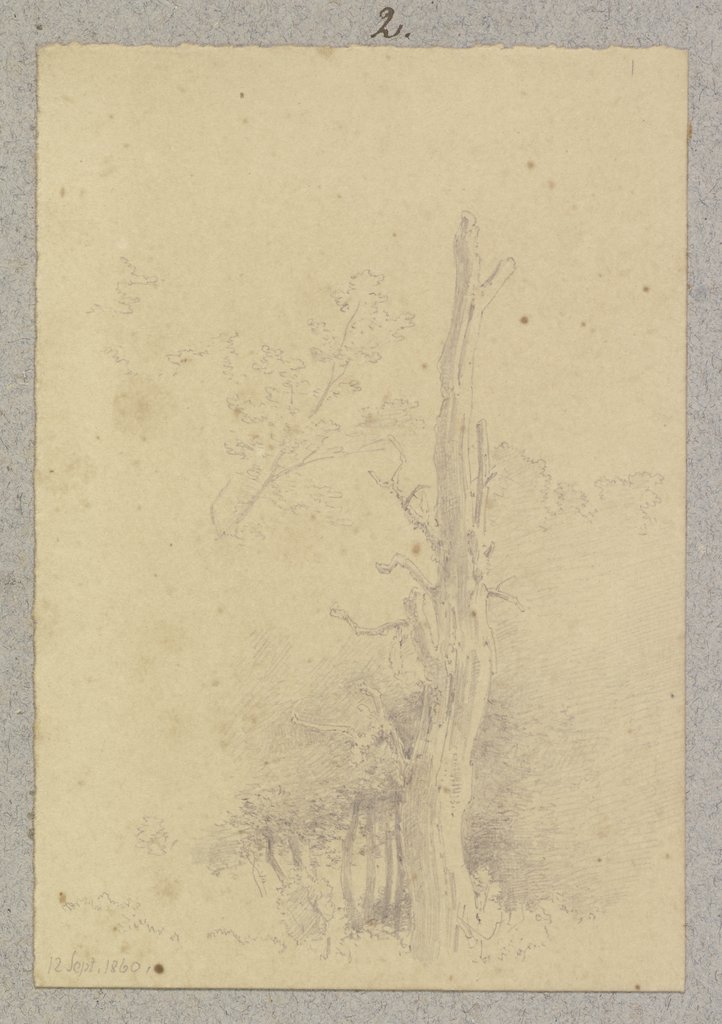 Dead tree, Carl Theodor Reiffenstein