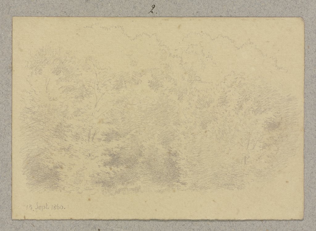 Waldstück, Carl Theodor Reiffenstein