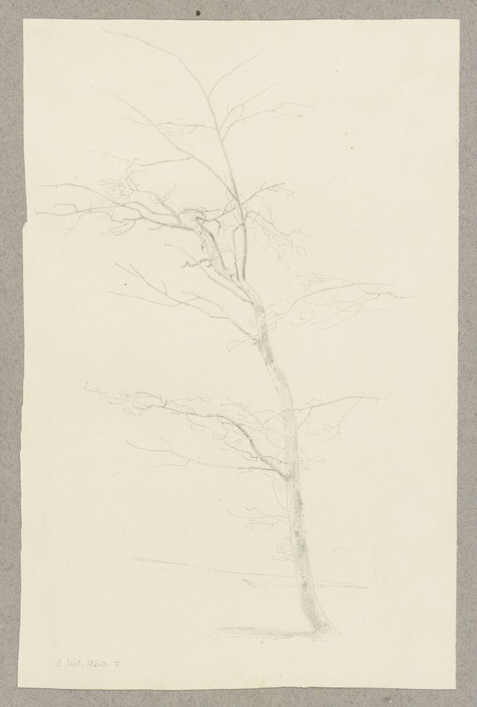 Junger kahler Baum, Carl Theodor Reiffenstein