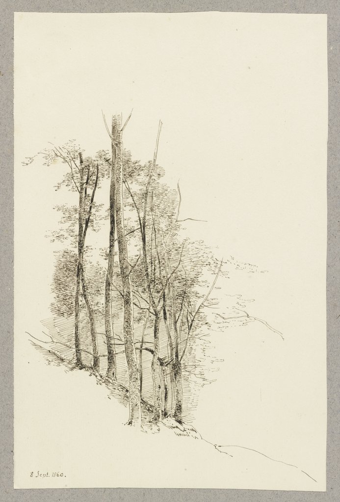 Waldstück am Hang, Carl Theodor Reiffenstein