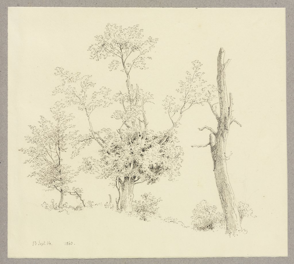 Ein junger, ein verwachsener und ein abgestorbener Baum in einer Reihe, Carl Theodor Reiffenstein