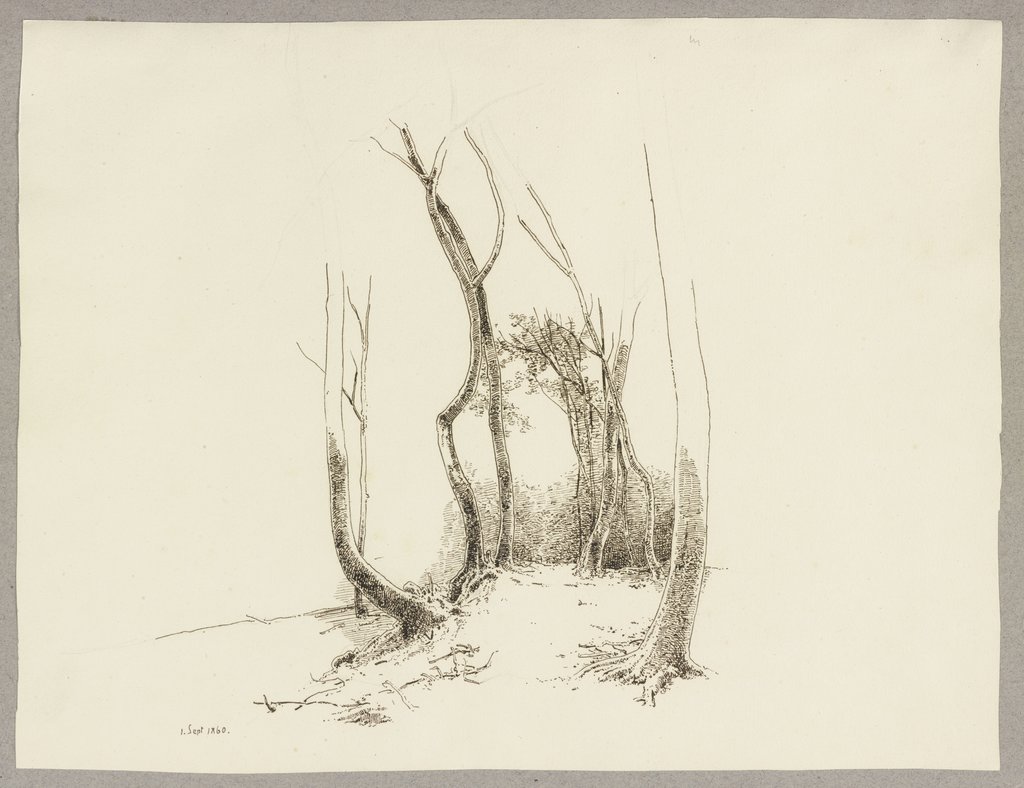 Group of leafless trees, Carl Theodor Reiffenstein