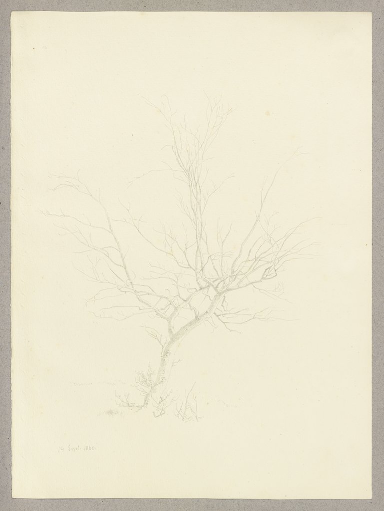 Leafless tree, Carl Theodor Reiffenstein
