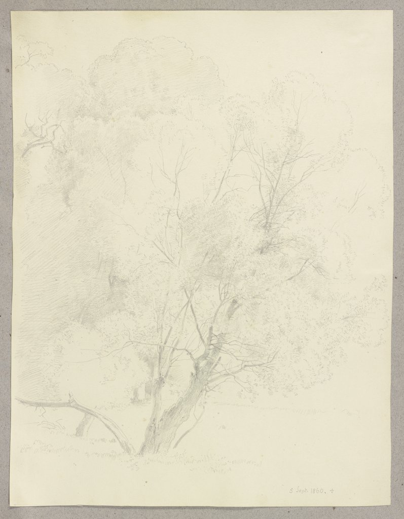 Row of trees, Carl Theodor Reiffenstein