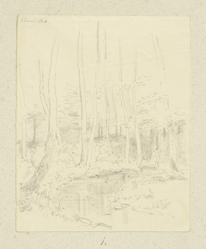 Forest with watercourse, Carl Theodor Reiffenstein