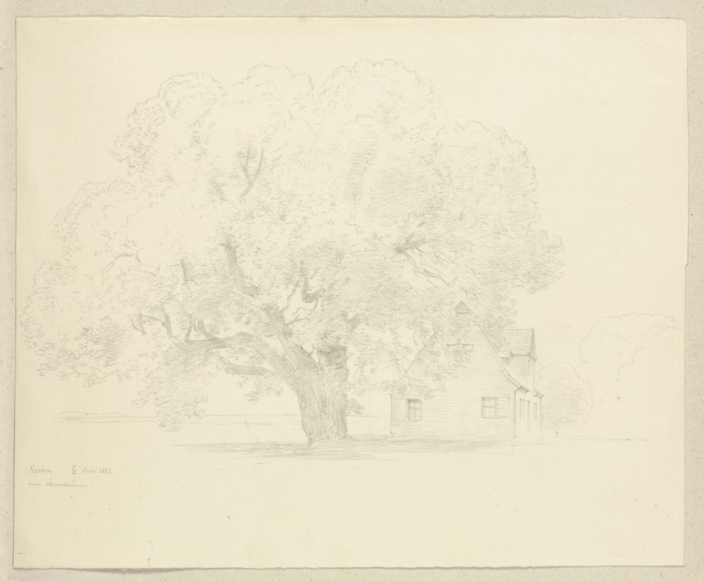 Alter Baum neben einem Haus in Karben, Carl Theodor Reiffenstein