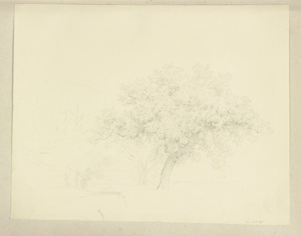Ein Baum, Carl Theodor Reiffenstein