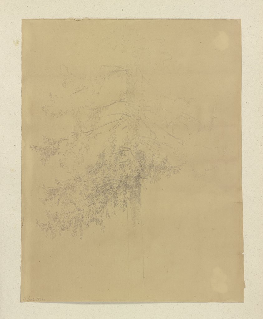 Ein Baum, Carl Theodor Reiffenstein