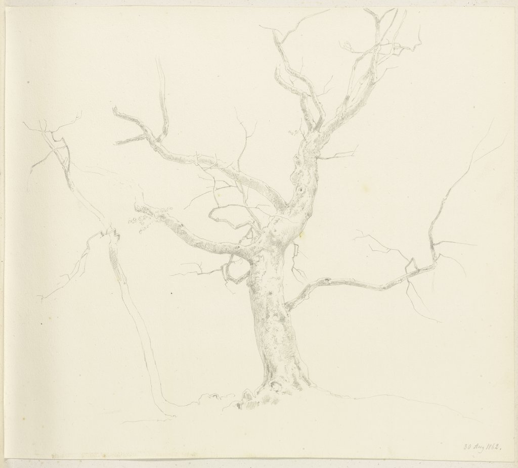 Leafless tree, Carl Theodor Reiffenstein