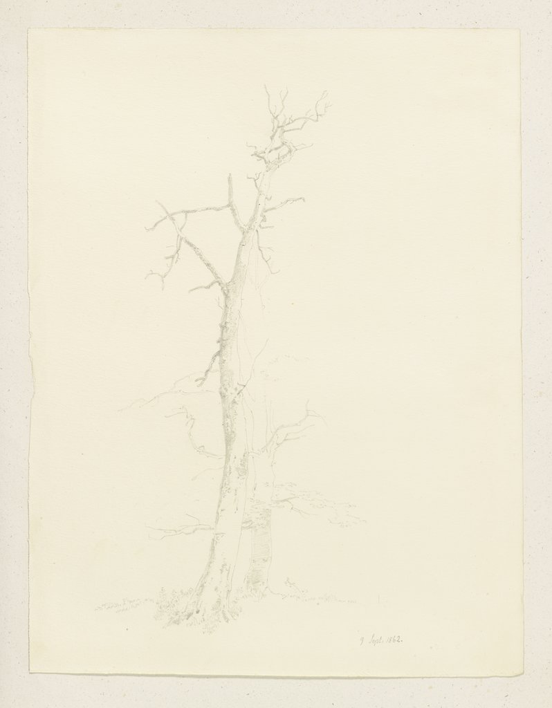Leafless pair of trees, Carl Theodor Reiffenstein