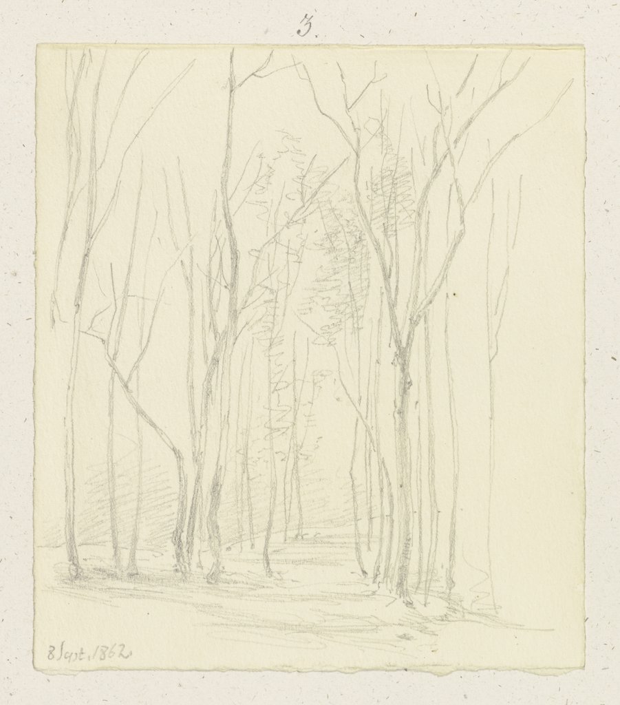 Waldpartie mit kahlen Bäumen, Carl Theodor Reiffenstein