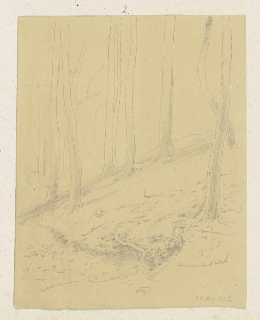 Waldhang mit Erdabbruchkante und freiliegendem Wurzelwerk, Carl Theodor Reiffenstein