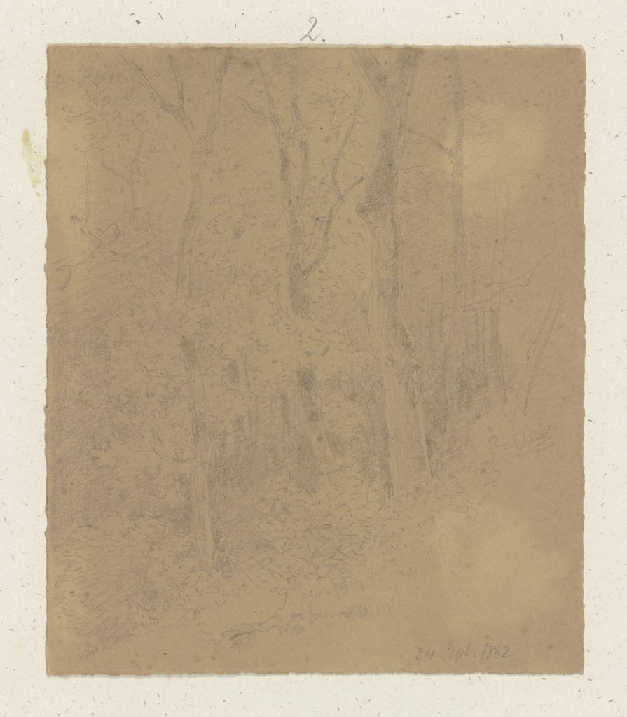 Waldstück, Carl Theodor Reiffenstein