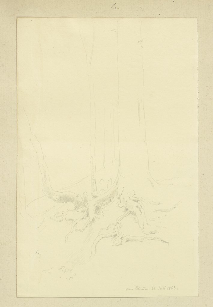 Baum mit freiliegendem Wurzelwerk am Blauen im Schwarzwald, Carl Theodor Reiffenstein