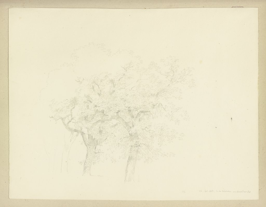 Baumreihe in der Nußallee am Homburger Hof, Carl Theodor Reiffenstein